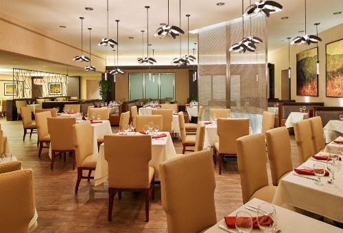 DoubleTree by Hilton San Antonio Airport image 15