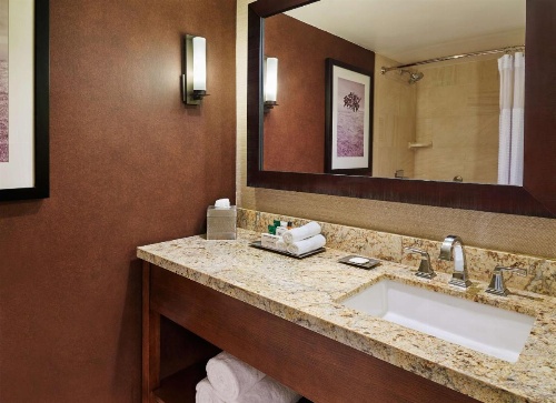 DoubleTree by Hilton San Antonio Airport image 9